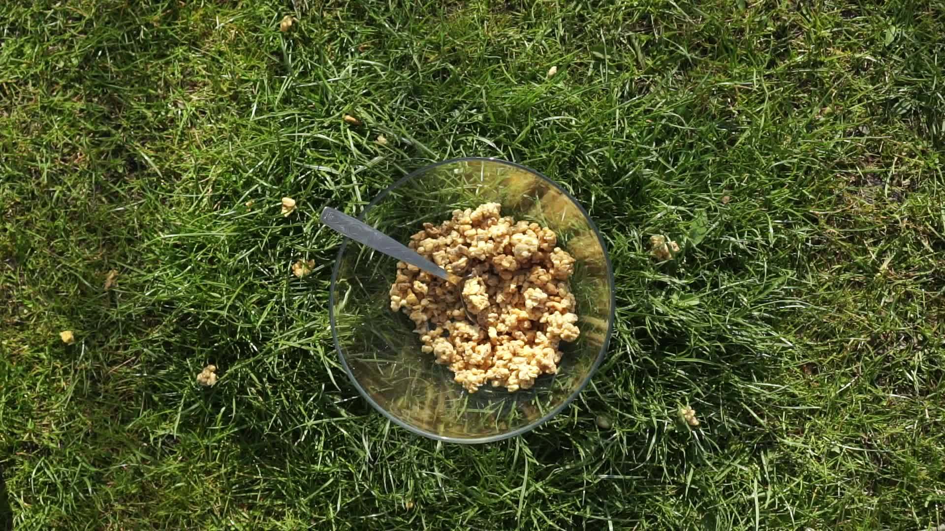 汤匙被扔进麦片里慢慢地在绿色草坪的透明碗里视频的预览图