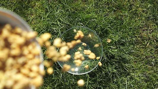 Muesli挤压谷物、坚果和谷物倒入绿色草坪上的玻璃中视频的预览图
