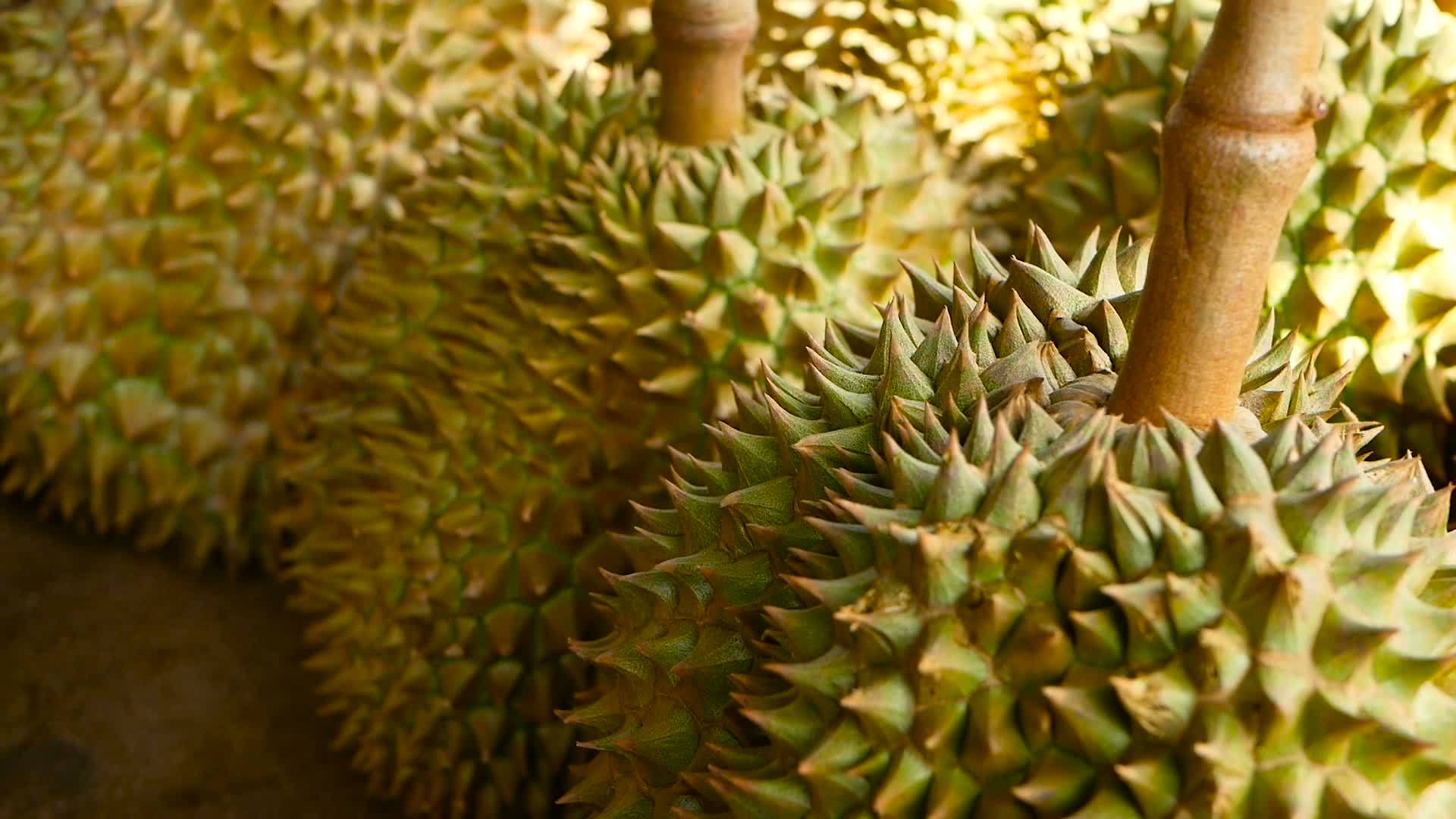 泰国夜市柜台上的撒玛利亚水果之王视频的预览图
