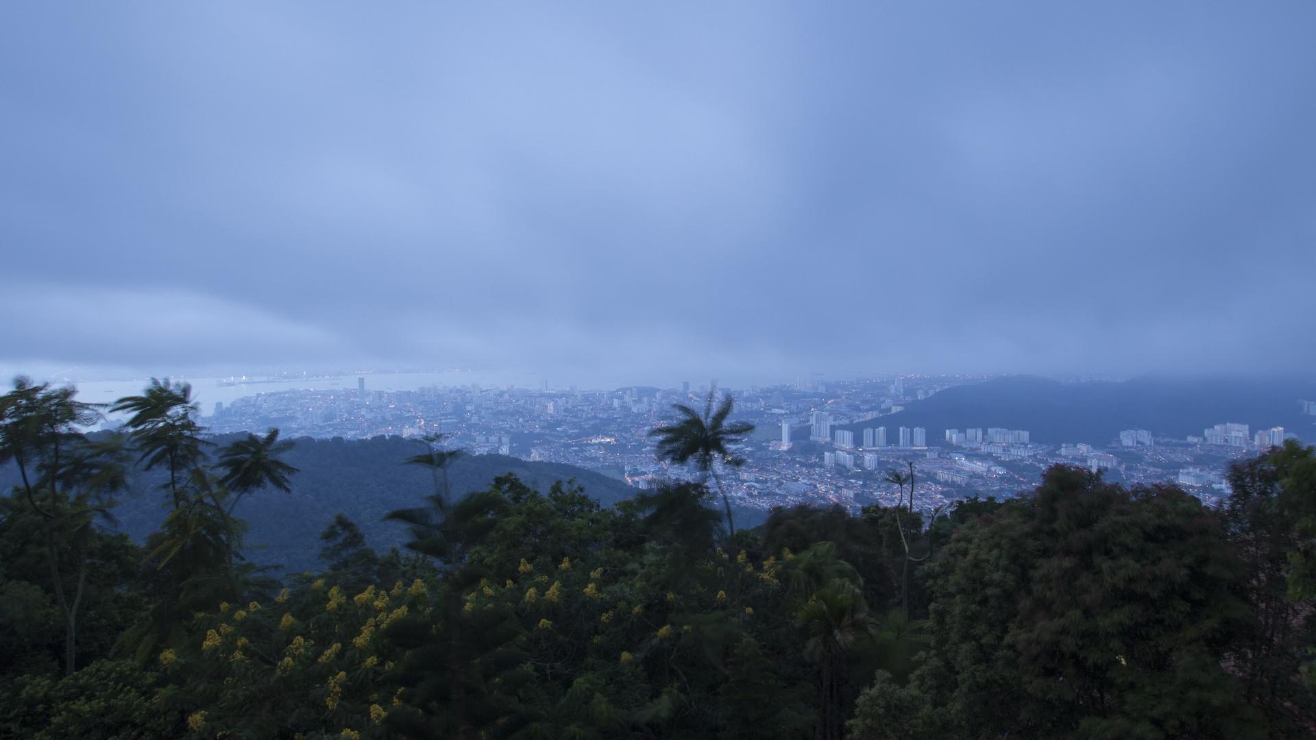 浓密的热带雨林白南山雾雾视频的预览图