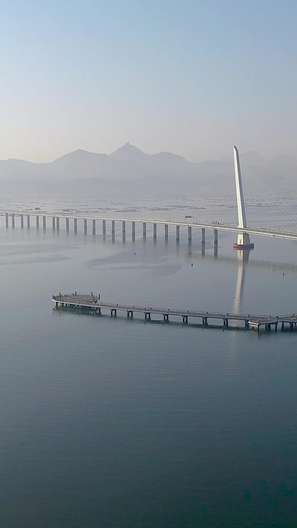 深圳湾公路大桥航拍视频的预览图