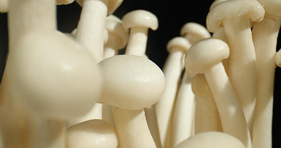 4K菌菇海鲜菇蘑菇新鲜蔬菜视频的预览图