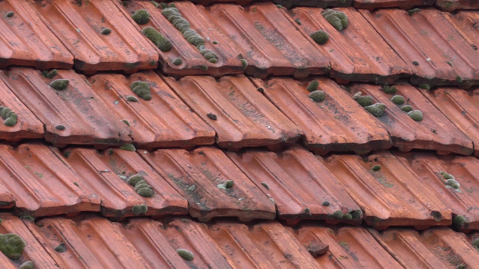 屋顶上的橙色粘土瓷砖板视频的预览图