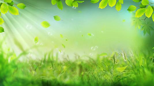 明亮的光斑绿叶飞舞春天的背景视频的预览图