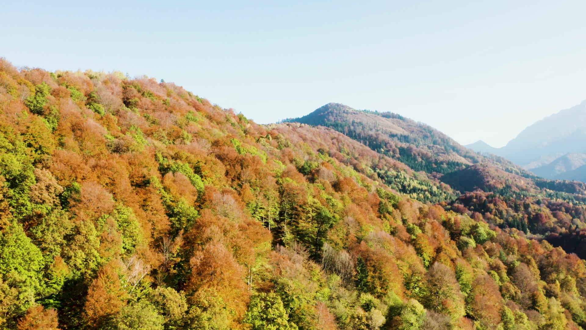 在阳光明媚的秋天无人驾驶飞机飞越美丽多彩的森林视频的预览图