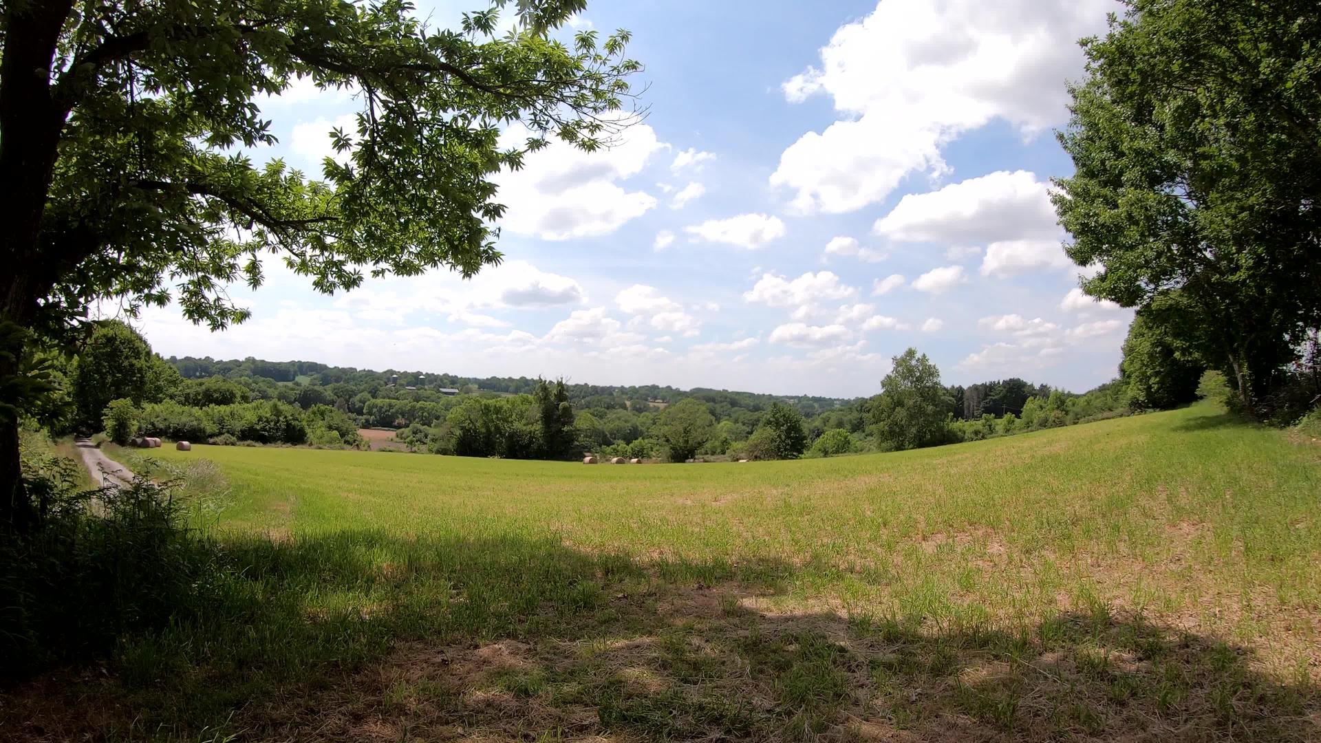 春天法国乡村的景观视频的预览图