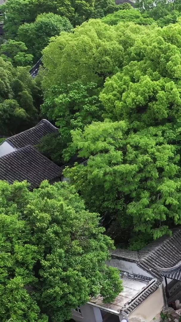 沧浪亭苏州古典园林视频的预览图