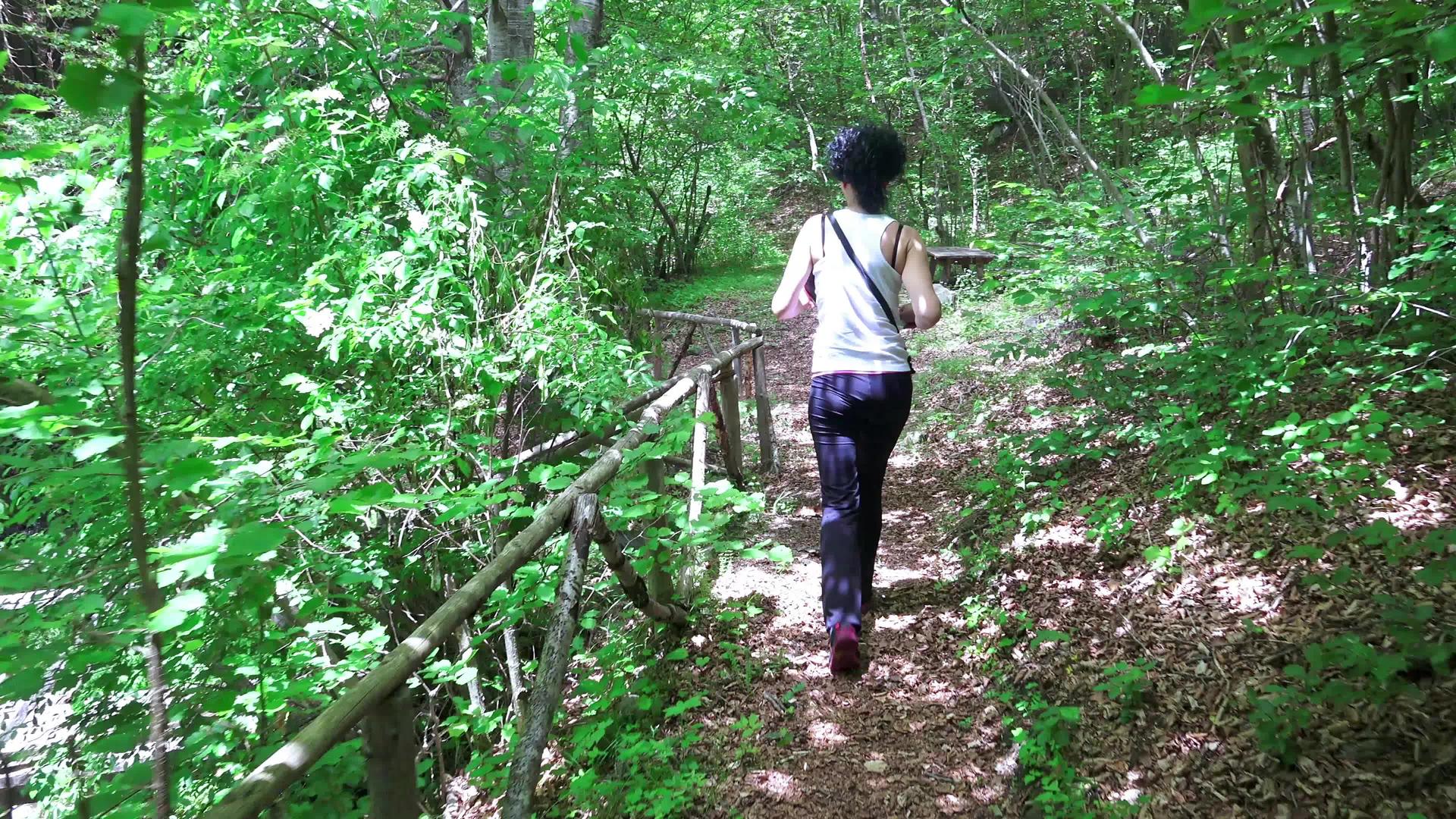 走在森林路上在泉水附近用木桥搭木桥视频的预览图