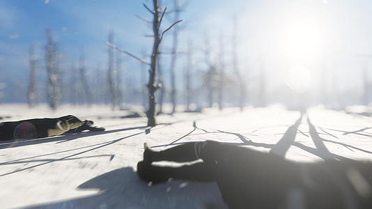 4名死亡士兵暴露在被雪覆盖的森林中k视频的预览图