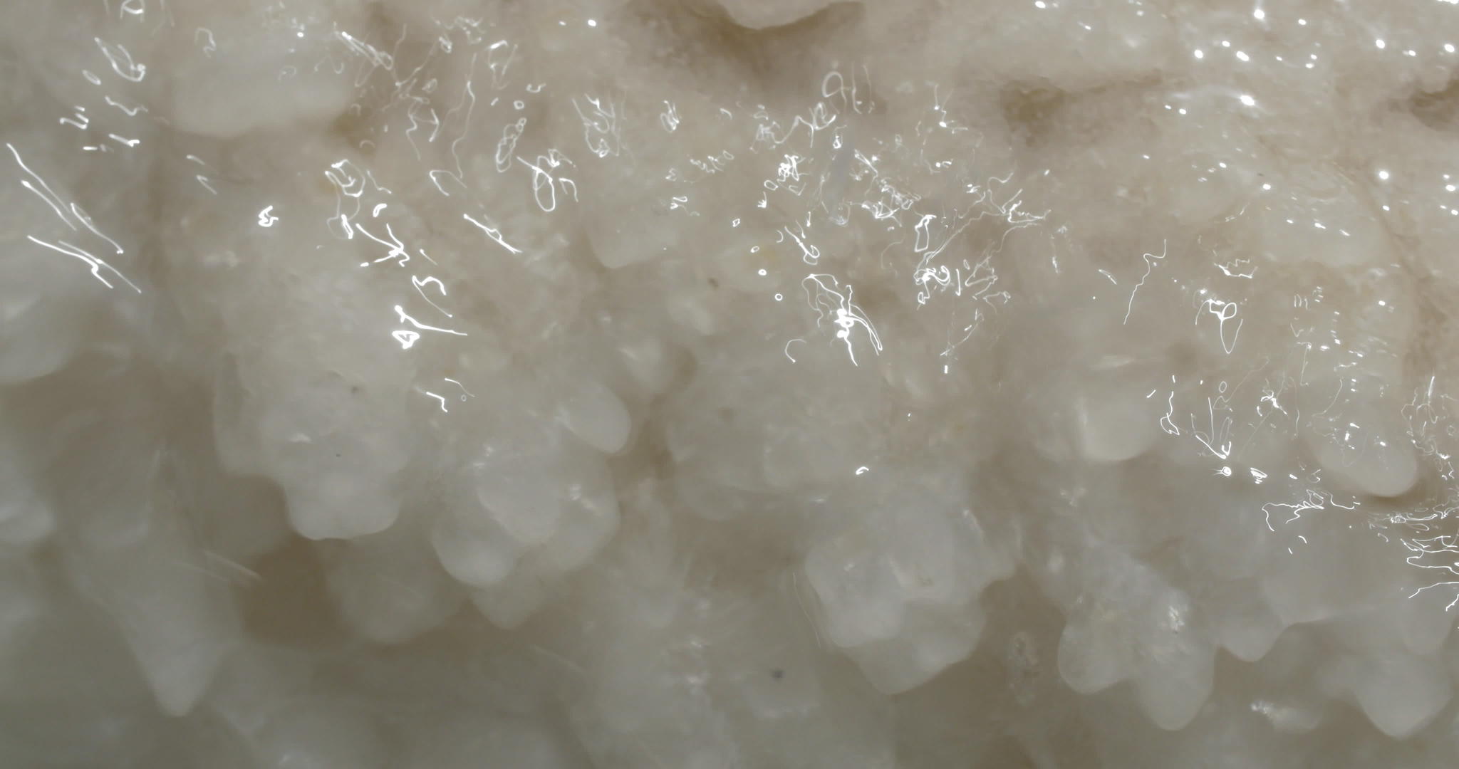 水晶盐在死海中的形成视频的预览图
