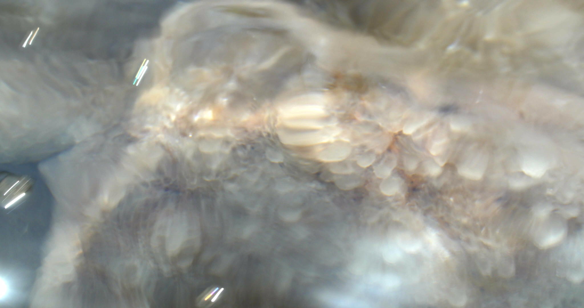 盐在死海中形成视频的预览图