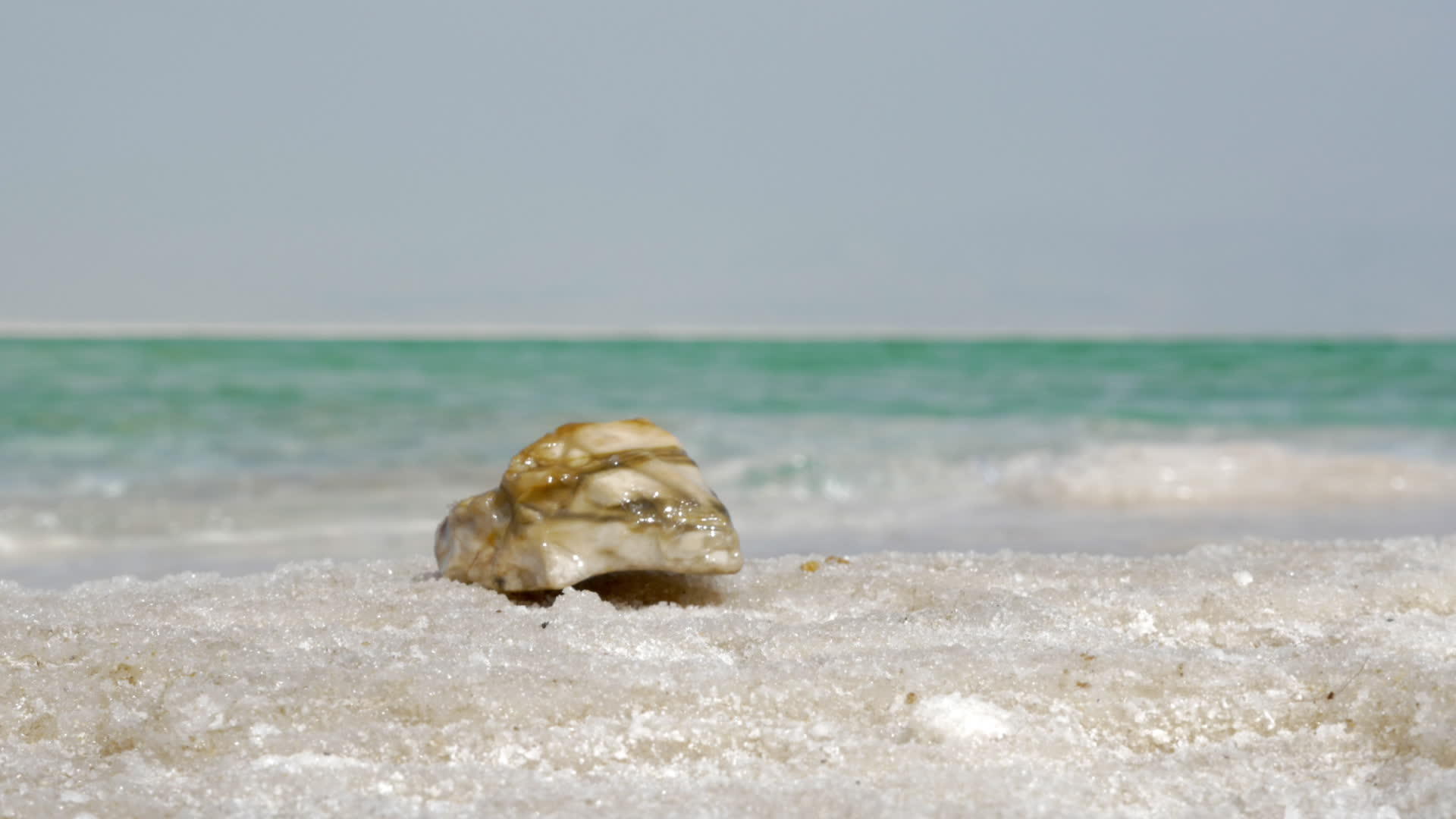 自然和死海及其盐海视频的预览图