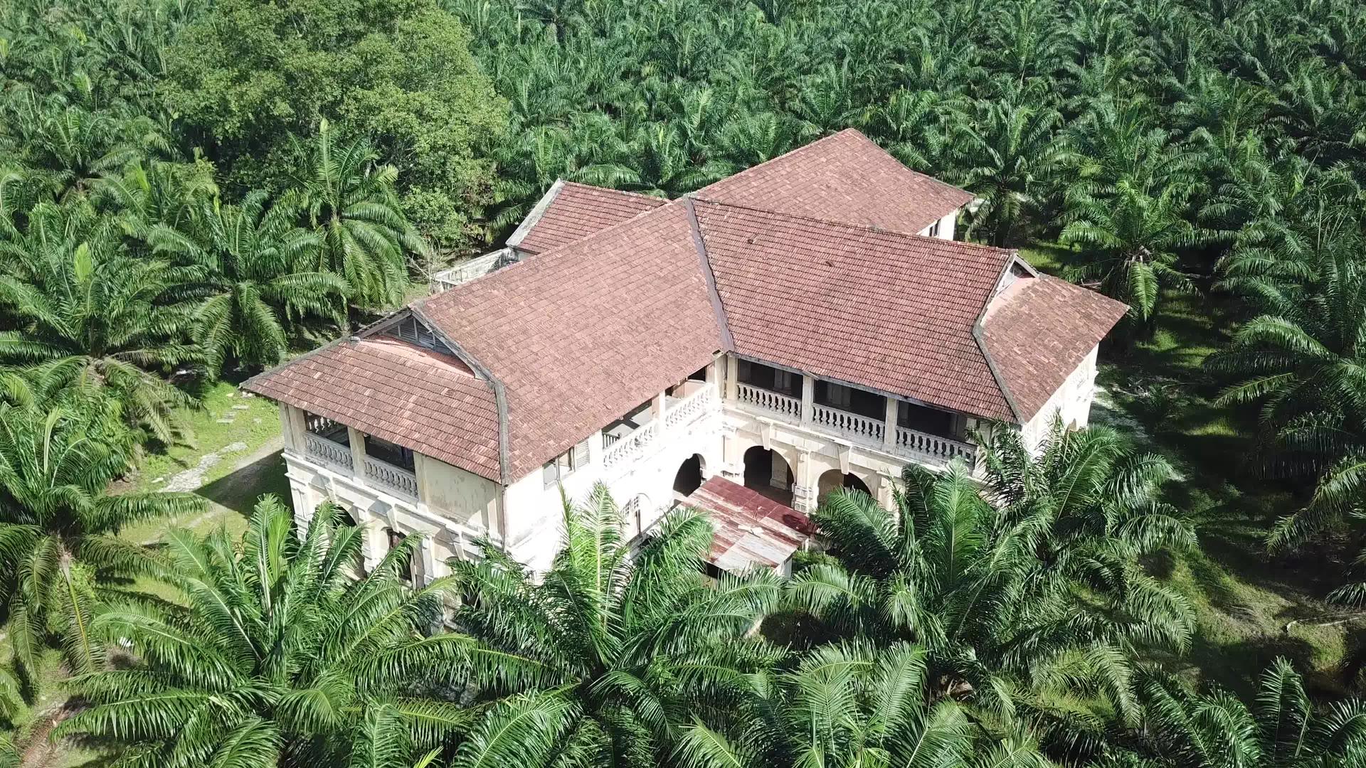 油棕榈地的殖民建筑视频的预览图