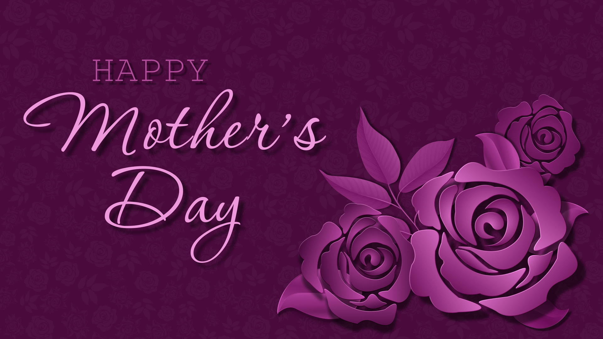 象征母亲节的紫色玫瑰视频的预览图