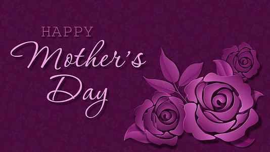 象征母亲节的紫色玫瑰视频的预览图