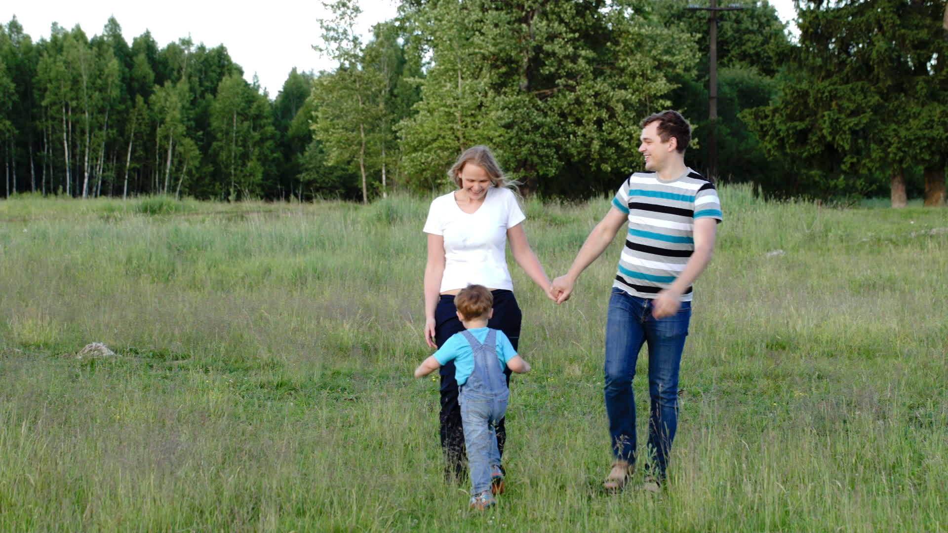 父亲、母亲和儿子在草原上行走视频的预览图