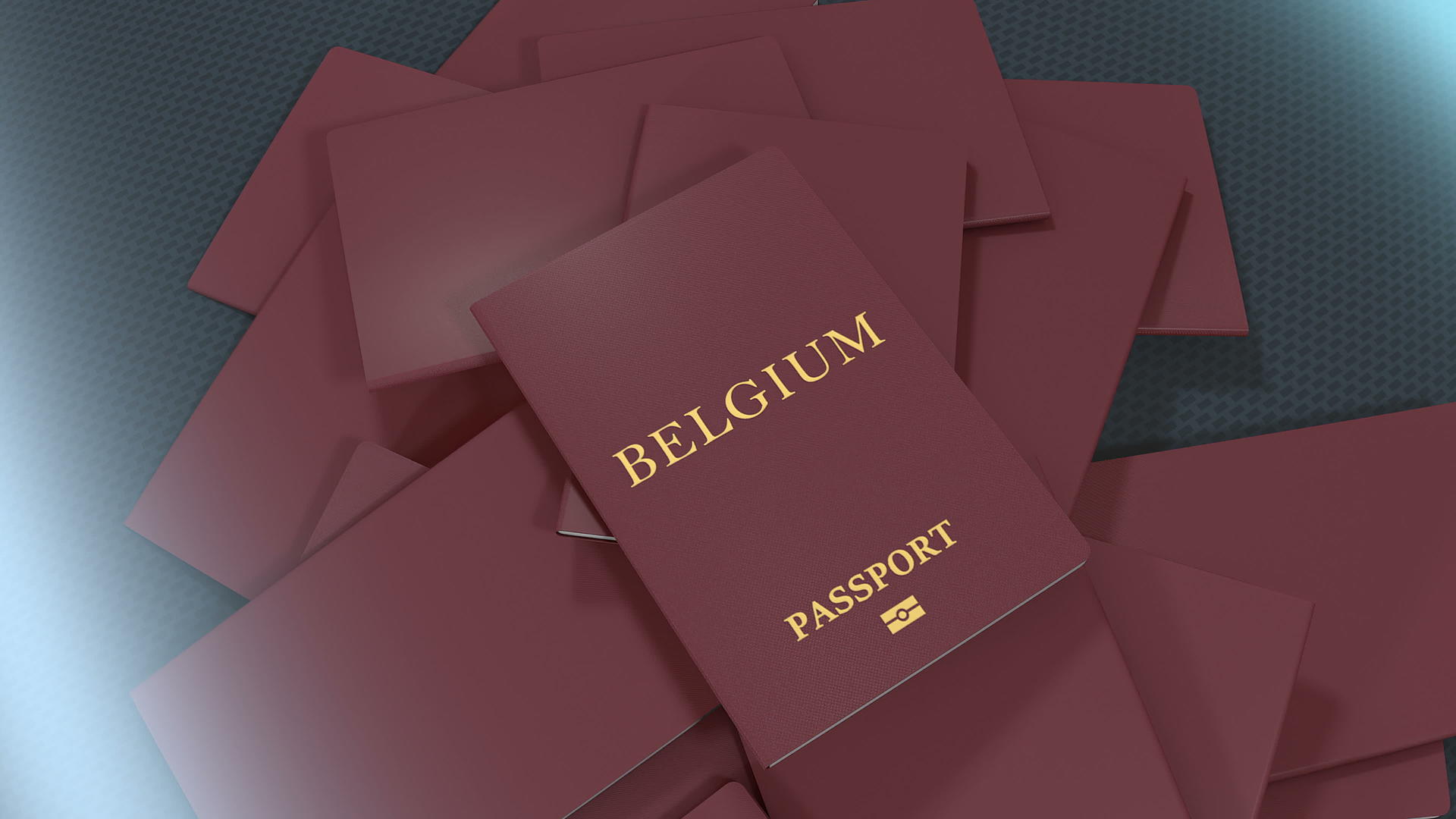 艺术家制作belgium旅行护照视频的预览图