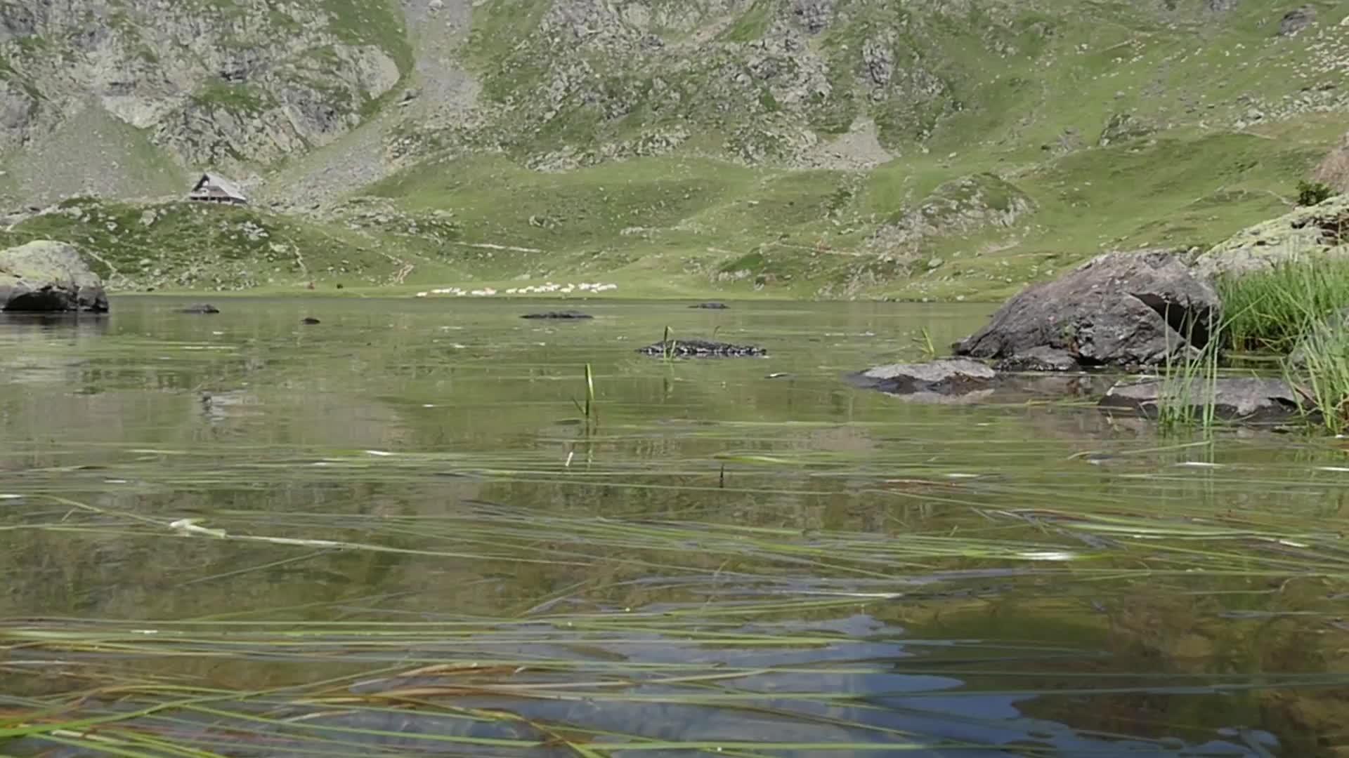 比利牛斯山丘湖视频的预览图