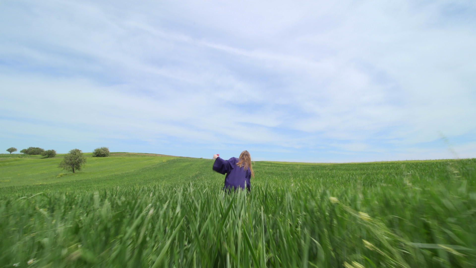 毕业女孩独自在绿色的田野里跑来跑去用红色的郁金香把帽子扔香里视频的预览图