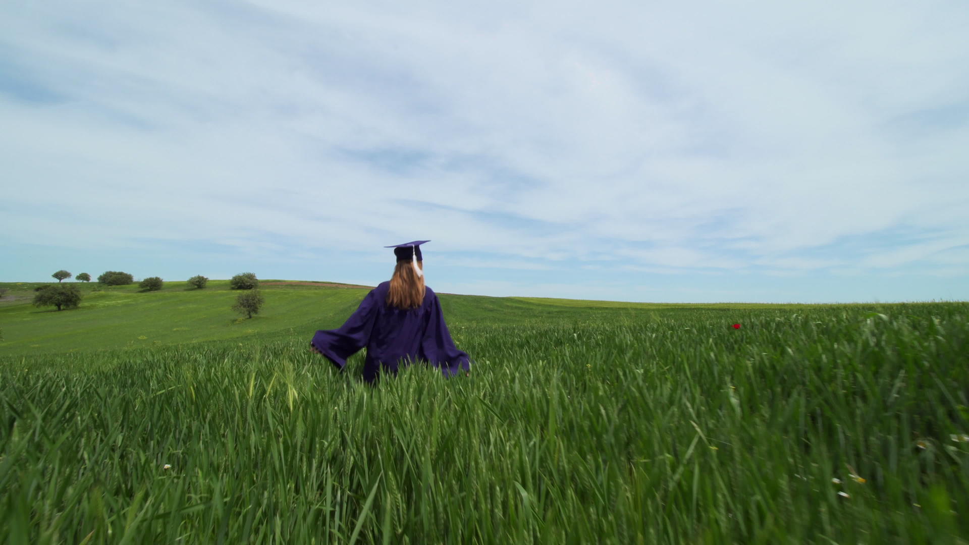 毕业女孩独自在绿色的田野里跑来跑去用红色的郁金香把帽子扔香里视频的预览图
