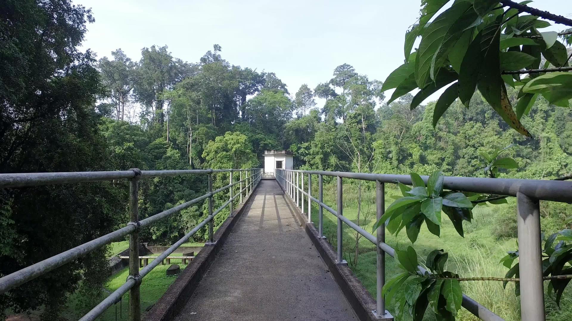 猴子骑着栏杆跑向摄像机视频的预览图
