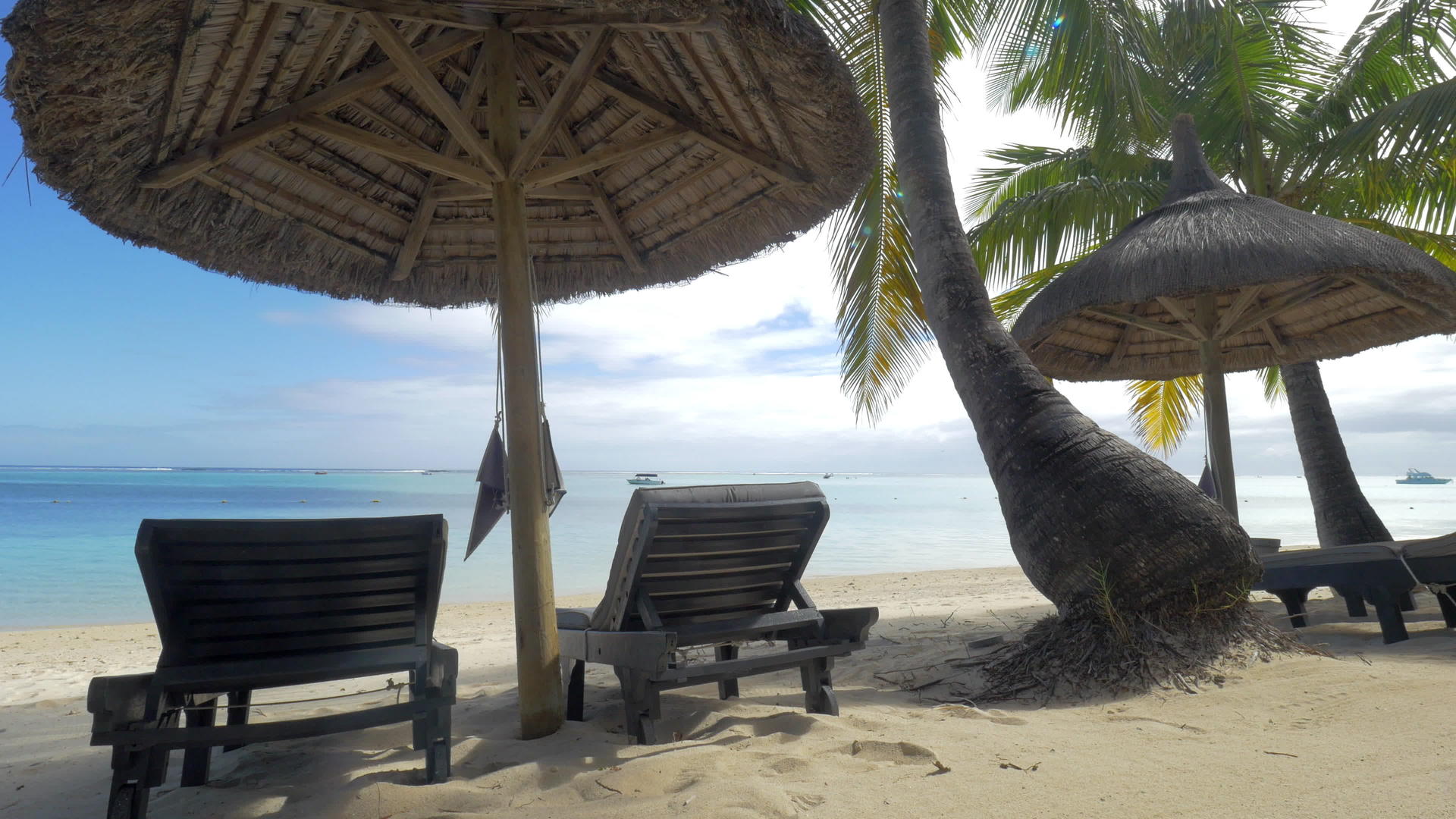 Mauritius岛上当地的太阳伞和棕榈树旁的白色雪夜视频的预览图