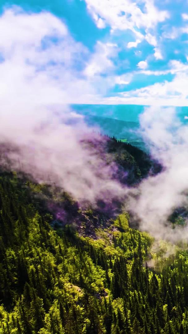 延迟喀纳斯森林河流的云雾视频的预览图