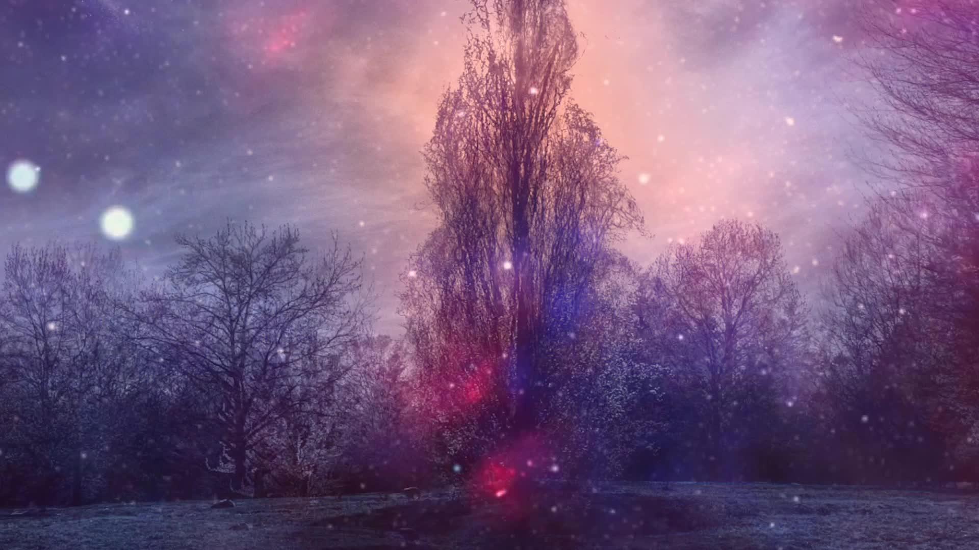 夜晚的风景与魔光的树木宣誓视频的预览图