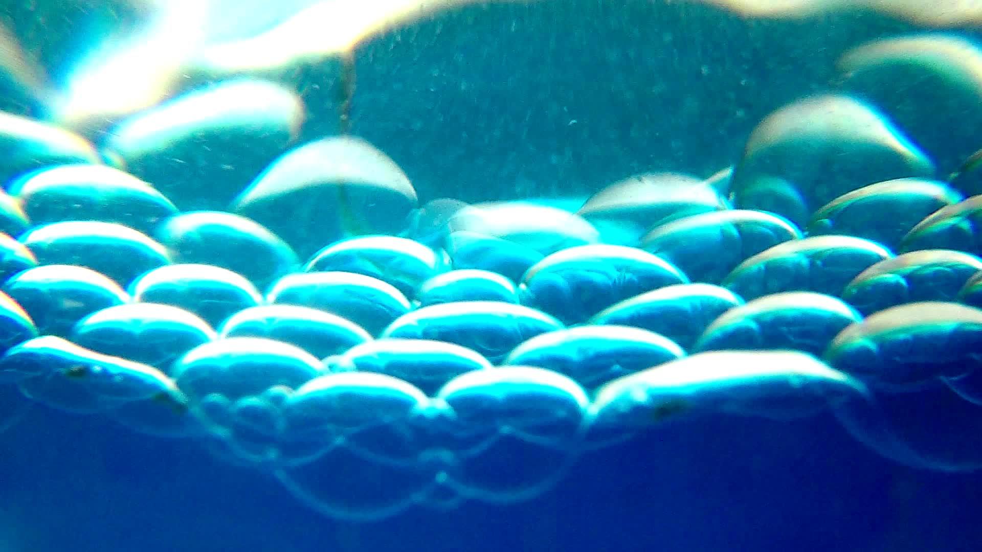 蓝色的气泡滴落在玻璃杯里视频的预览图