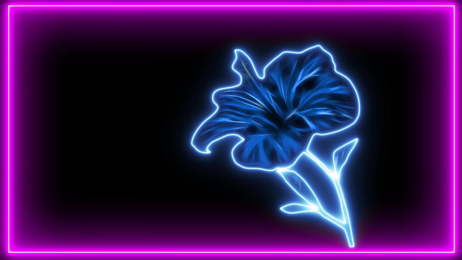 蓝色花朵在粉花朵的光线背景视频的预览图