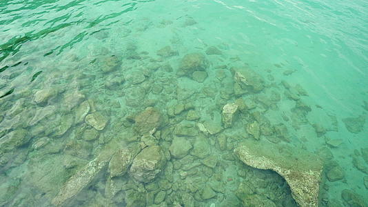 海底绿色浅水和岩石视频的预览图