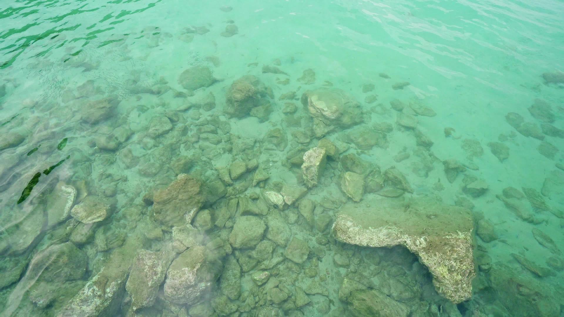 地板床岩石和岩石背景的浅海水面和平静背景视频的预览图