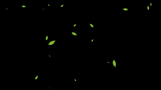 4K透明通道树叶飘落视频素材视频的预览图