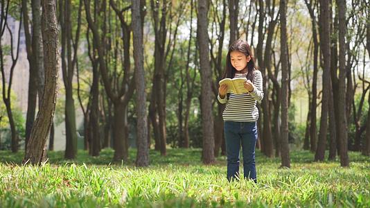 女生站在树林里看书视频的预览图