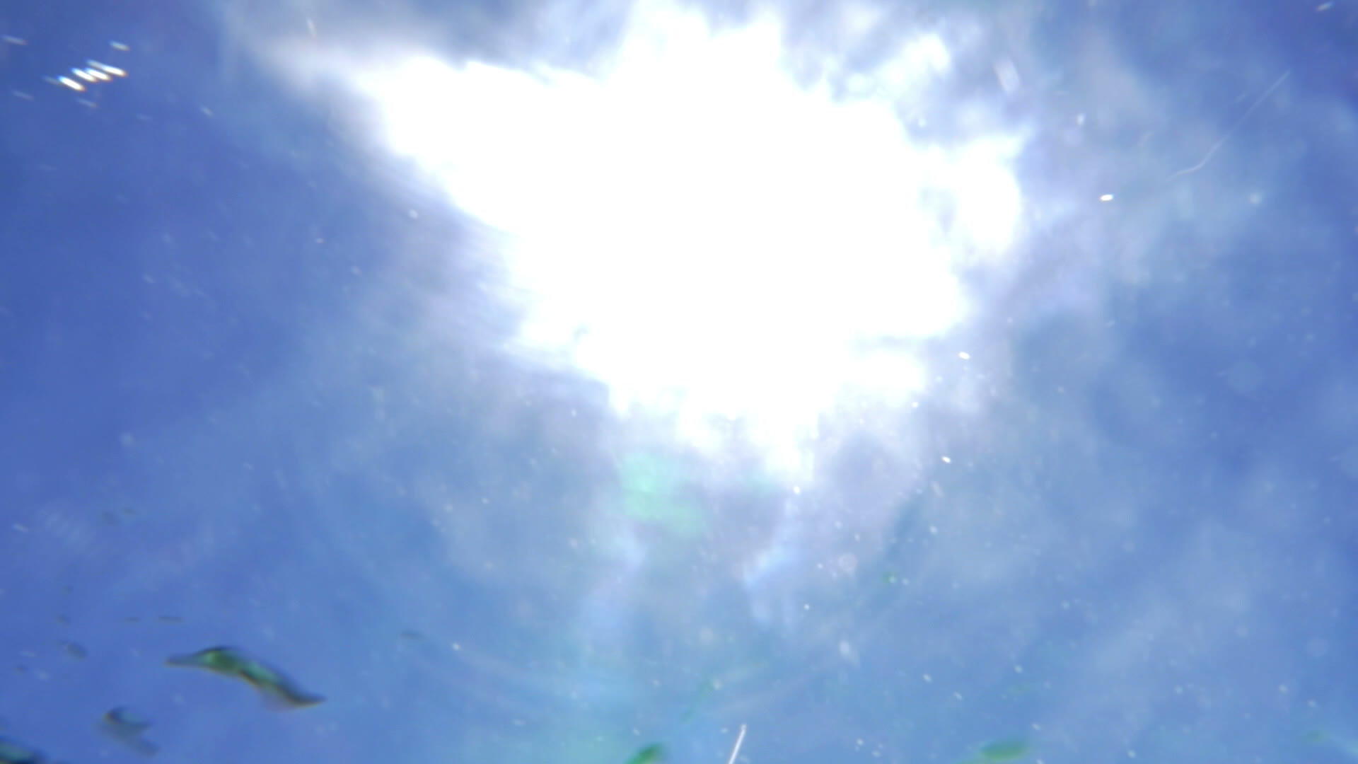 水面上的太阳反射视频的预览图