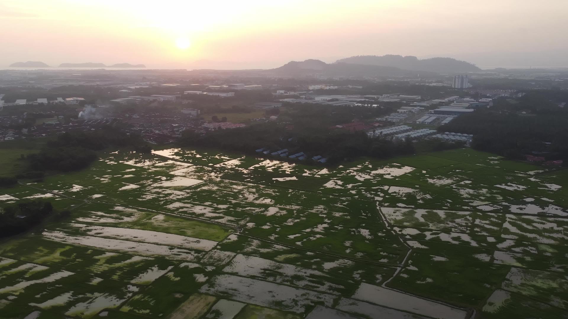 伯南稻田对面的空中日落视图视频的预览图