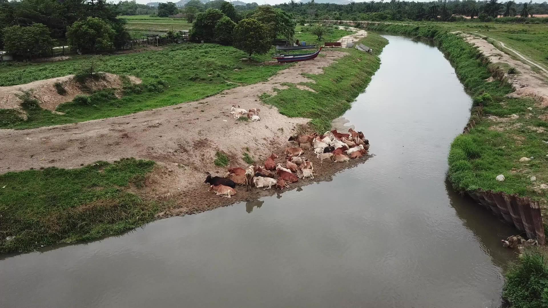 在农村马雷村的河岸上休息视频的预览图