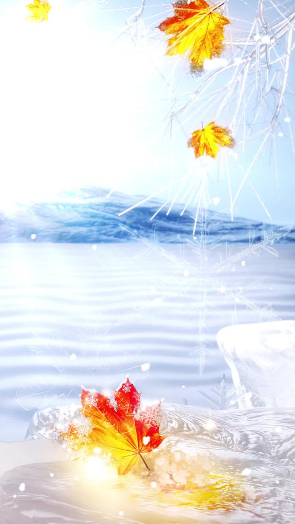 二十四节气大雪背景视频的预览图