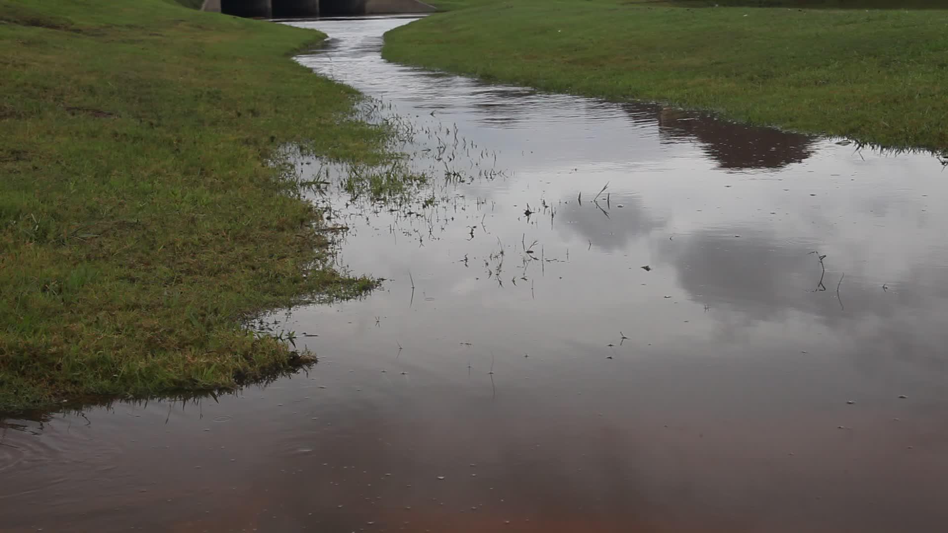 雨后排水视频的预览图