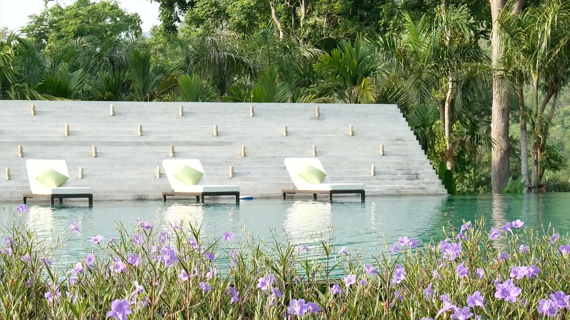 4K靠近游泳池的视频躺椅自然绿树背景前景美丽的花朵视频的预览图