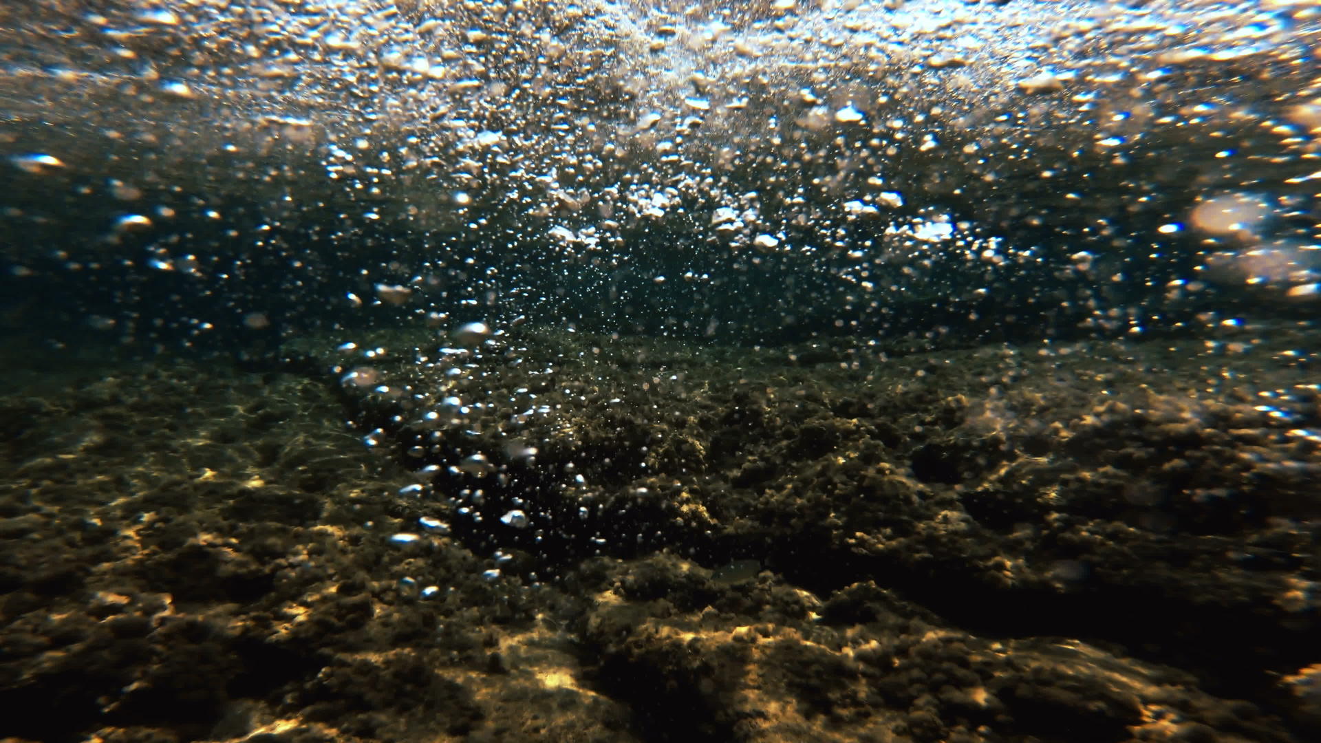 蓝海中的泡泡视频的预览图