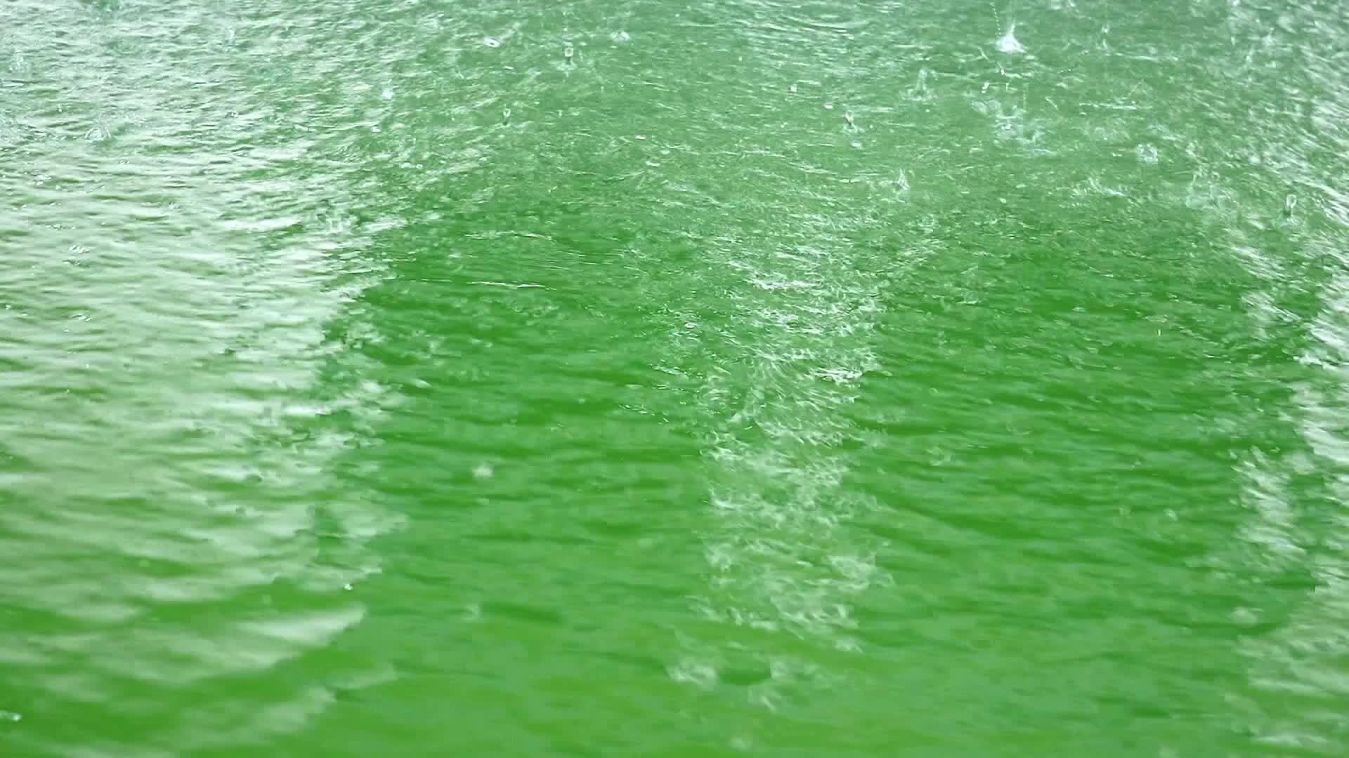 雨水落在绿色干净的水面上视频的预览图