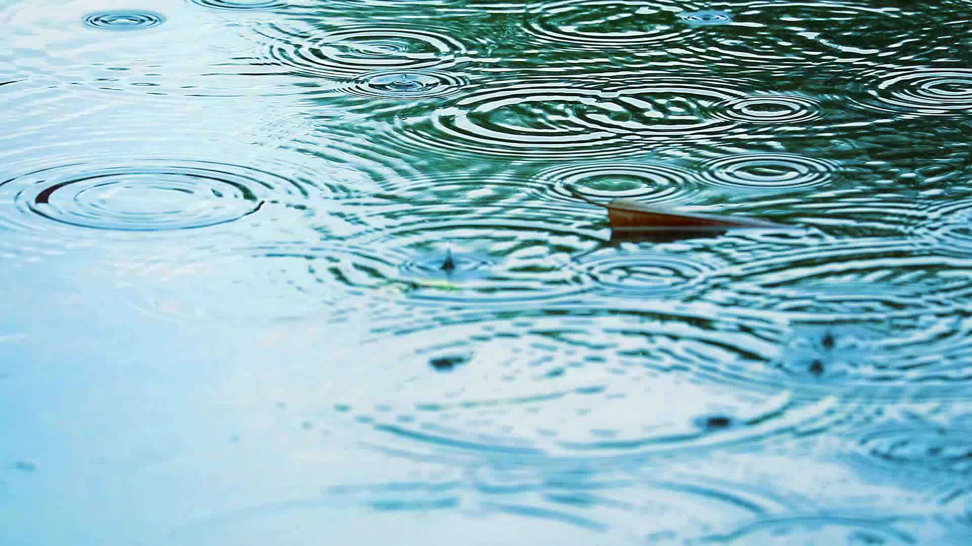 雨滴和漂浮在水面上的模糊干叶视频的预览图