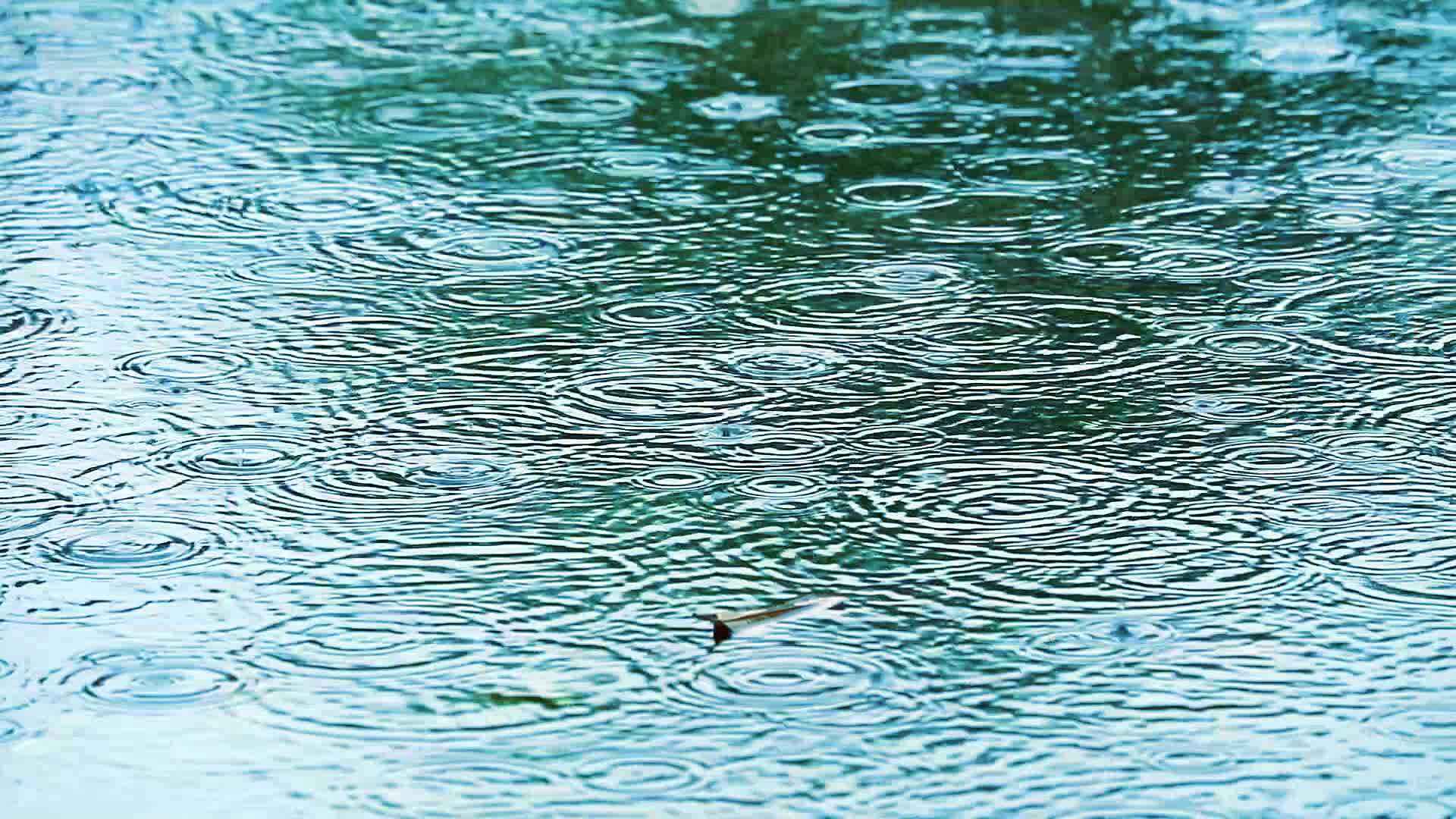 聚焦点是水上的雨滴和表面漂浮的模糊干叶1视频的预览图