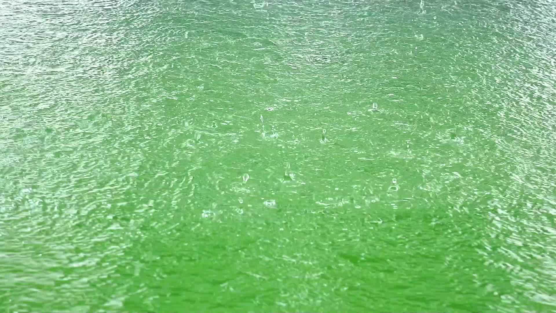 水面纯净清澈视频的预览图