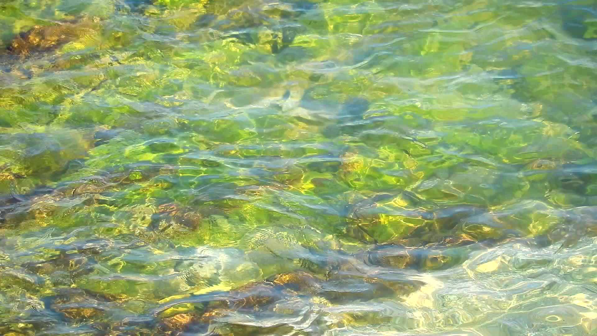 观察珊瑚礁水下表面和反射阳光视频的预览图
