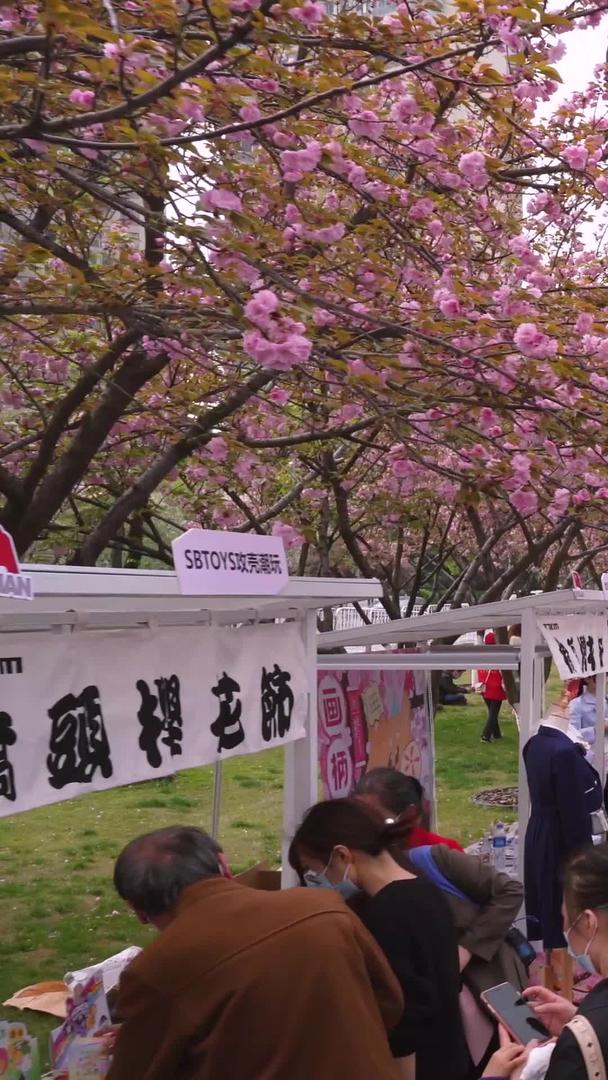 低空飞行航拍城市樱花节现场街景人流素材视频的预览图