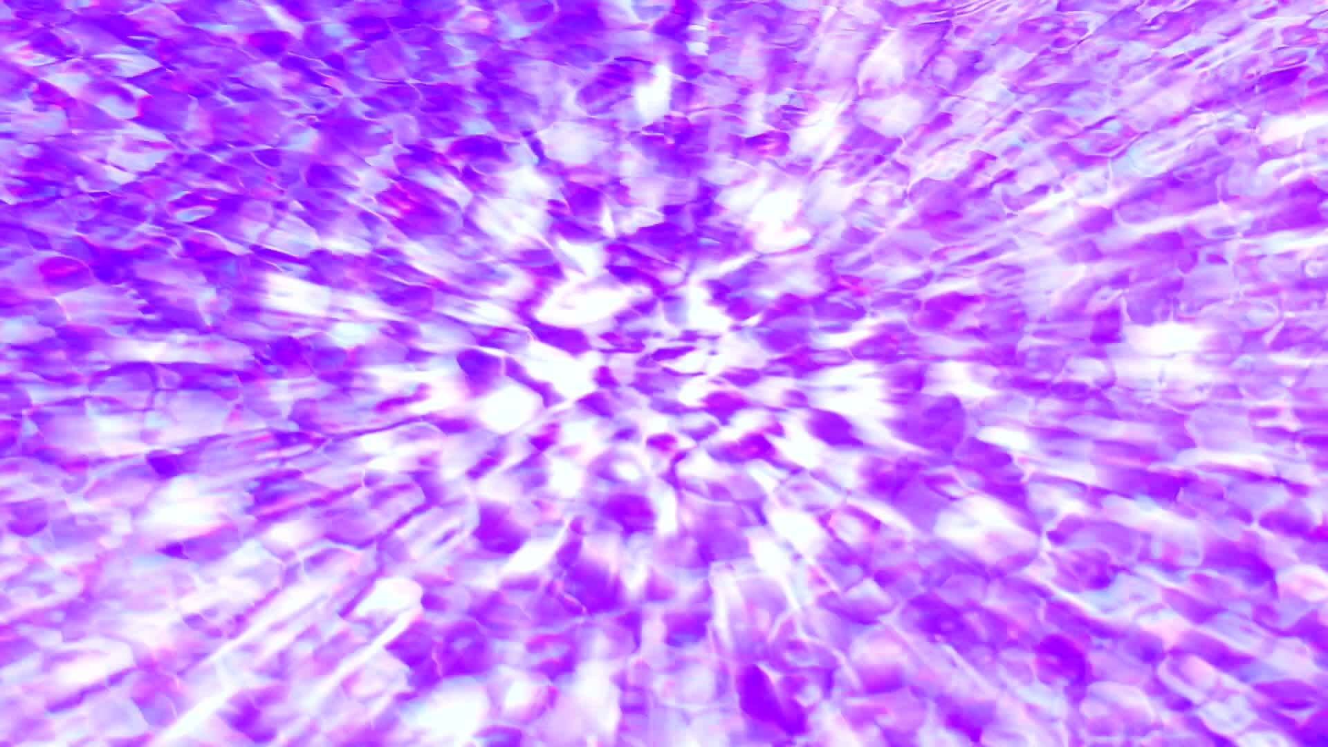 游泳池紫色瓷砖中的阳光和水波视频的预览图