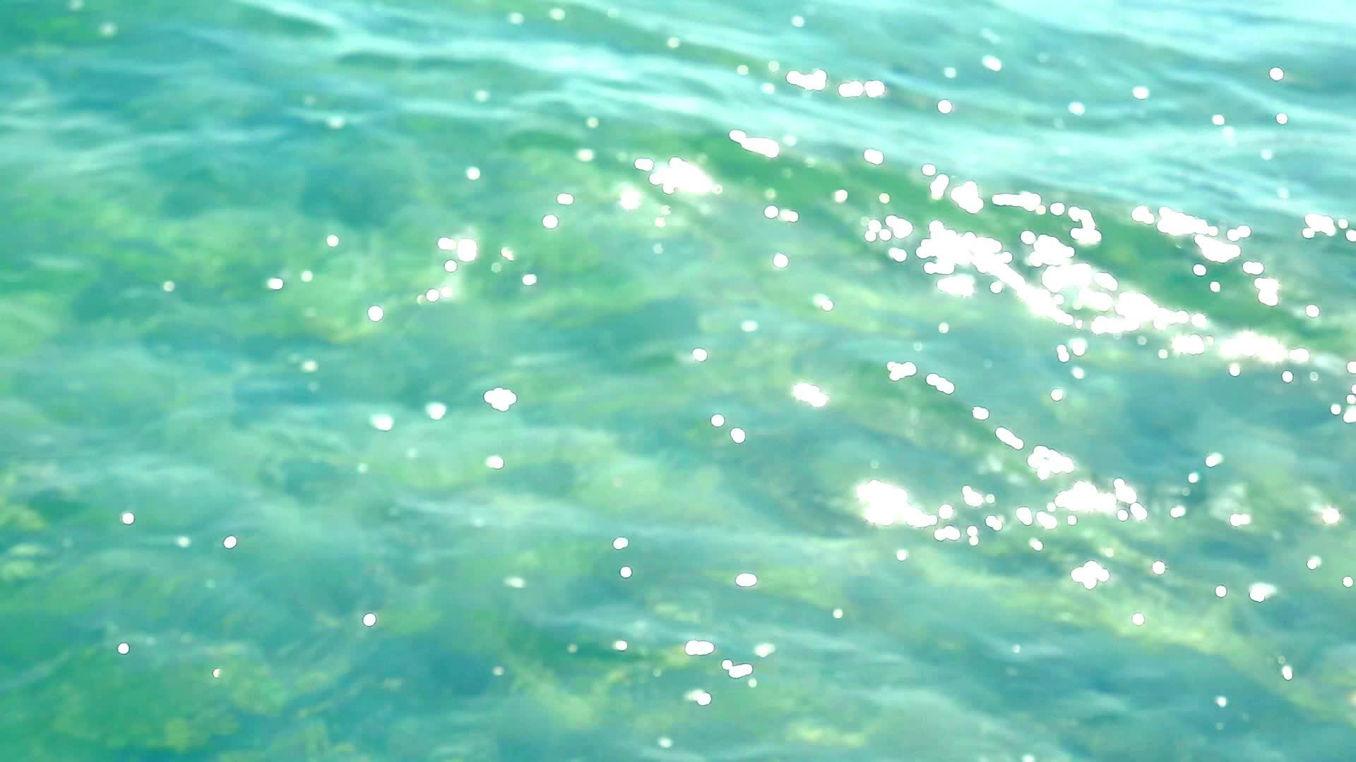 纯净的海水表面视频的预览图