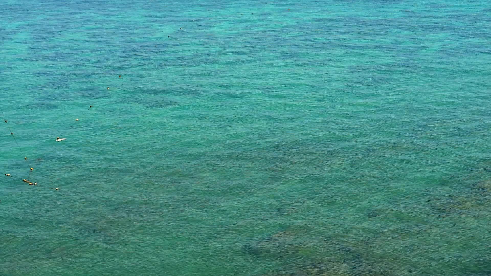 珊瑚礁观测到的海洋水下表面和反射阳光视频的预览图